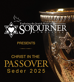2025 Passover Seder Event